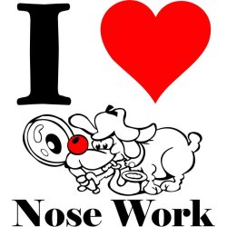  I Love nose work