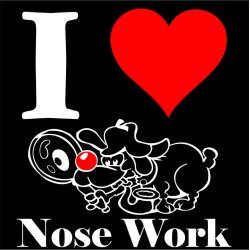  I Love nose work