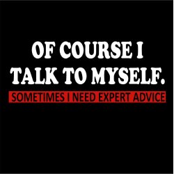 Of course I talk to myself
