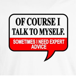 Of course I talk to myself. Sometimes i need expert advice