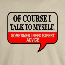Of course I talk to myself. Sometimes i need expert advice