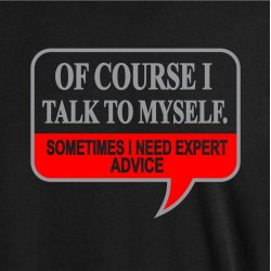 Of course I talk to myself. Sometimes i need expert advice