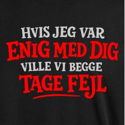 Hvis jeg var enig med dig  ville vi begge tage fejl