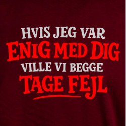 Hvis jeg var enig med dig  ville vi begge tage fejl