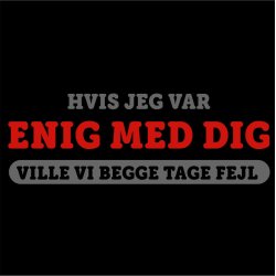 Hvis jeg var enig med dig  