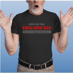 Hvis jeg var enig med dig  