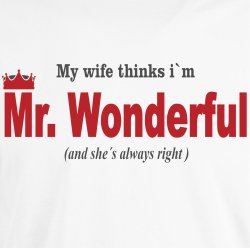 My wife thinks I�m Mr. Wonderful