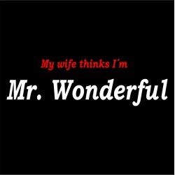 My wife thinks I�m Mr. Wonderful