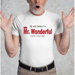 My wife thinks I�m Mr. Wonderful