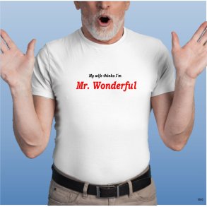 My wife thinks I�m Mr. Wonderful