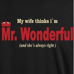 My wife thinks I�m Mr. Wonderful