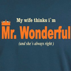 My wife thinks I�m Mr. Wonderful