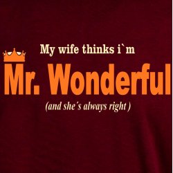 My wife thinks I�m Mr. Wonderful