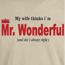 My wife thinks I�m Mr. Wonderful