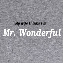 My wife thinks I�m Mr. Wonderful