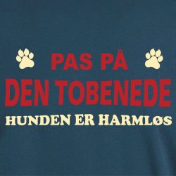 Pas p� den tobenede 