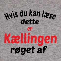 Hvis du kan lse dette er kllingen faldt af