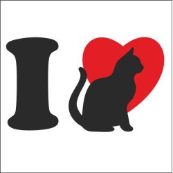 I love cat