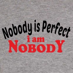 Nobody is perfect i am nobody