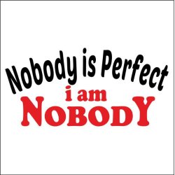 Nobody is perfect i am nobody