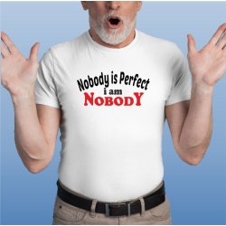 Nobody is perfect i am nobody
