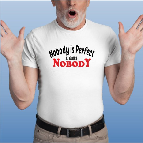 Nobody is perfect i am nobody