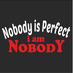 Nobody is perfect i am nobody