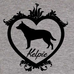  Kelpie love