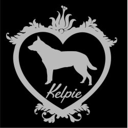  Kelpie love