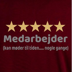 Fem stjernet medarbejder 