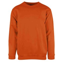 Classic Sweatshirt JR.