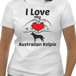 I love Australian Kelpie
